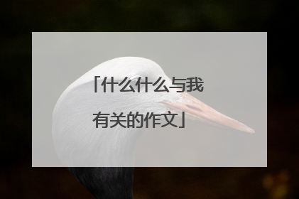 什么什么与我有关的作文