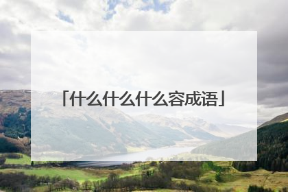 什么什么什么容成语