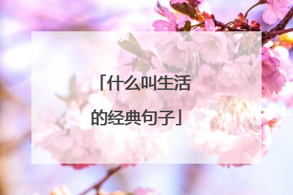 什么叫生活的经典句子