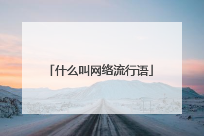 什么叫网络流行语
