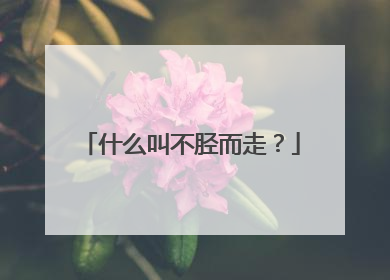 什么叫不胫而走?
