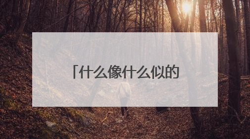 什么像什么似的什么造句比喻句