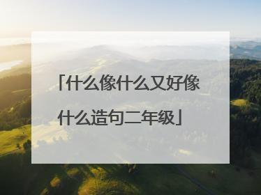 什么像什么又好像什么造句二年级