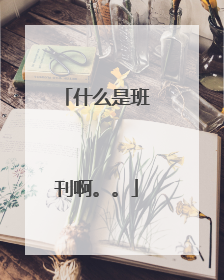 什么是班刊啊。。