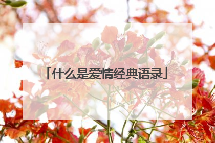 什么是爱情经典语录