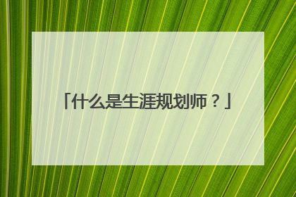 什么是生涯规划师？