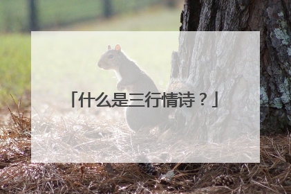 什么是三行情诗?
