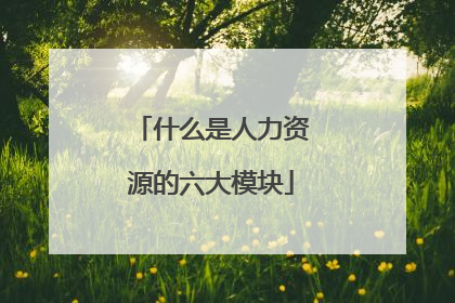 什么是人力资源的六大模块