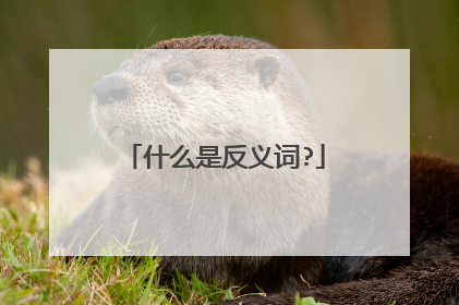 什么是反义词?