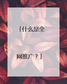 什么是全网推广？