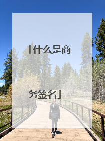 什么是商务签名