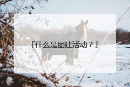 什么是团建活动？