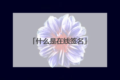 什么是在线签名