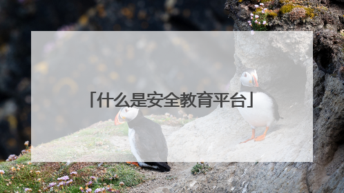 什么是安全教育平台