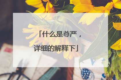 什么是尊严,详细的解释下