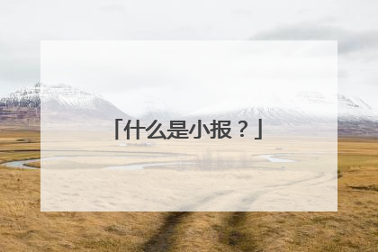 什么是小报？