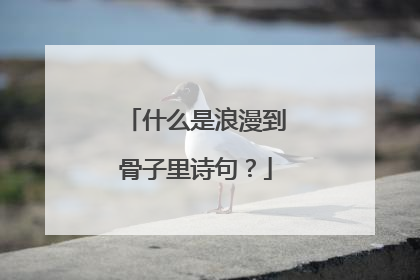 什么是浪漫到骨子里诗句?