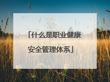 什么是职业健康安全管理体系