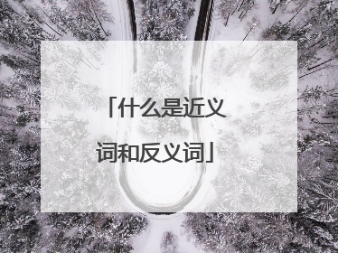 什么是近义词和反义词