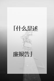 什么是述廉报告