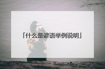 什么是谚语举例说明