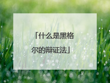 什么是黑格尔的辩证法