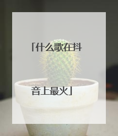 什么歌在抖音上最火
