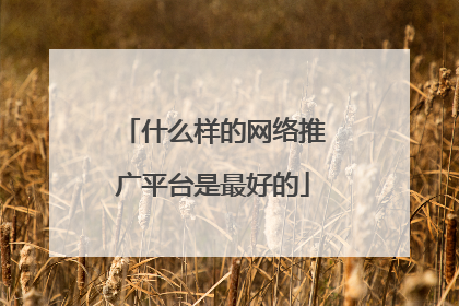 什么样的网络推广平台是最好的