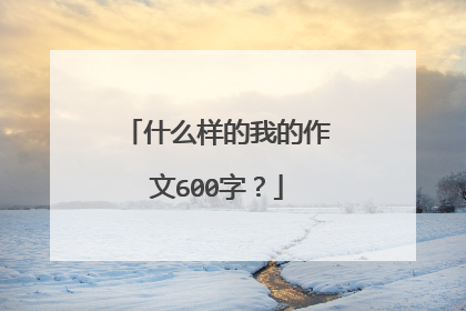 什么样的我的作文600字？