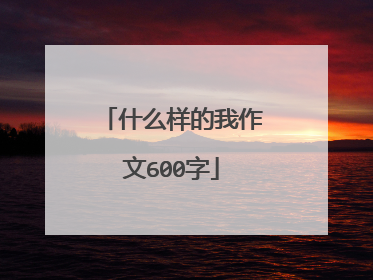 什么样的我作文600字