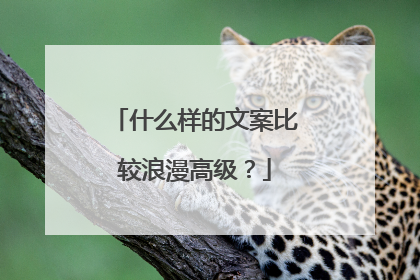 什么样的文案比较浪漫高级？