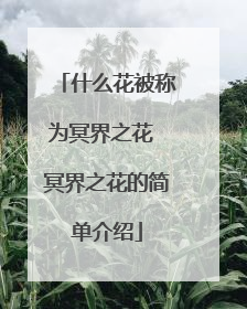 什么花被称为冥界之花 冥界之花的简单介绍