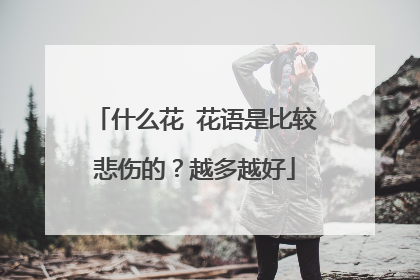 什么花 花语是比较悲伤的?越多越好