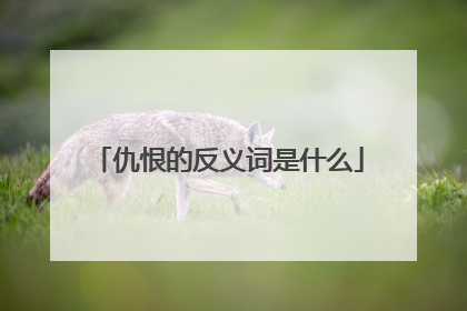 仇恨的反义词是什么