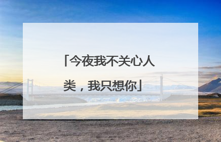 今夜我不关心人类,我只想你