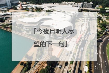 今夜月明人尽望的下一句
