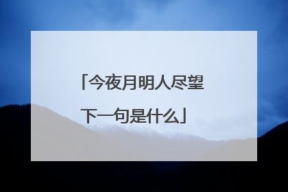 今夜月明人尽望下一句是什么
