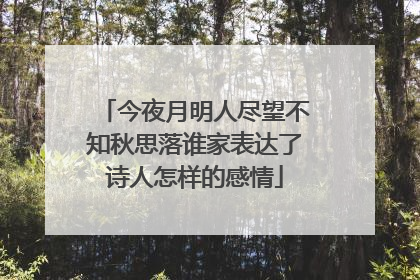 今夜月明人尽望不知秋思落谁家表达了诗人怎样的感情