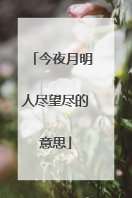今夜月明人尽望尽的意思