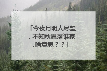 今夜月明人尽望,不知秋思落谁家.啥意思??
