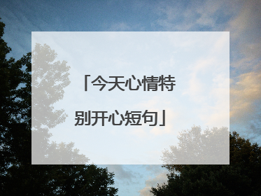 今天心情特别开心短句