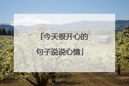 今天很开心的句子说说心情