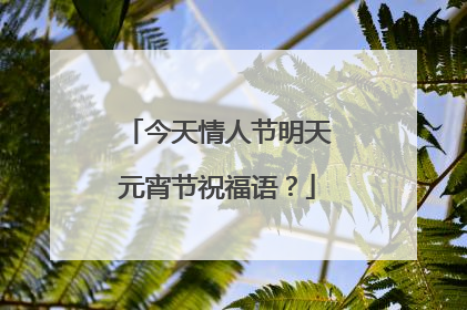 今天情人节明天元宵节祝福语?