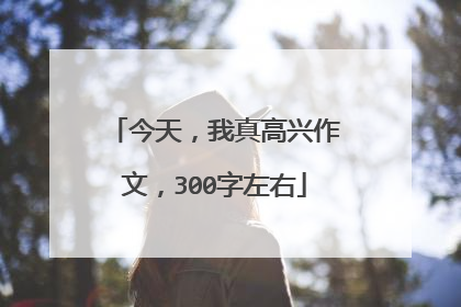 今天，我真高兴作文，300字左右