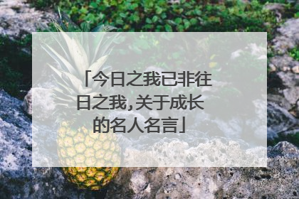 今日之我已非往日之我,关于成长的名人名言