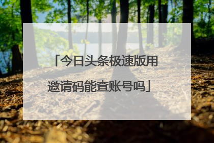 今日头条极速版用邀请码能查账号吗