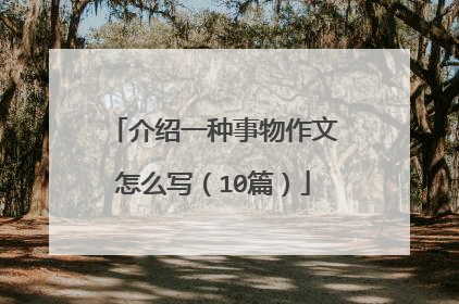 介绍一种事物作文怎么写(10篇)