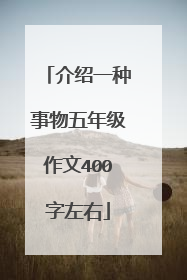 介绍一种事物五年级作文400字左右