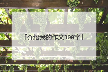 介绍我的作文300字