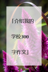 介绍我的学校300字作文
